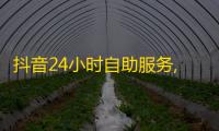 抖音24小时自助服务,业务下单24小时最低价 - 点赞充值24小时到账 - 24小时抖音业务低价